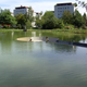 Illustration for article titled You Can Sit in This Pond Without Getting Wet